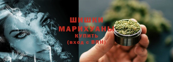 ГАЛЛЮЦИНОГЕННЫЕ ГРИБЫ Надым