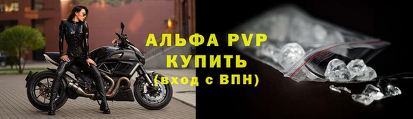 ГАЛЛЮЦИНОГЕННЫЕ ГРИБЫ Надым