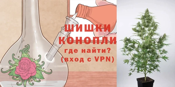 индика Нея