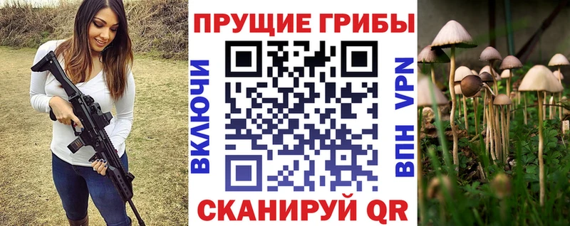 Галлюциногенные грибы Magic Shrooms  Купить  Нижний Новгород 