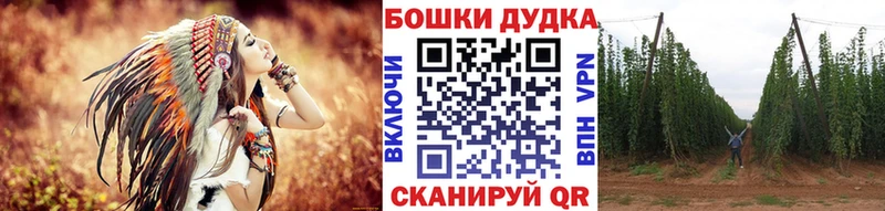Бошки Шишки гибрид  Купить где  Нижний Новгород 